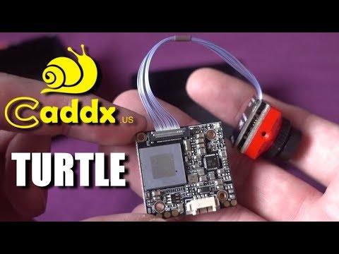 Caddx Turtle - UCKE_cpUIcXCUh_cTddxOVQw