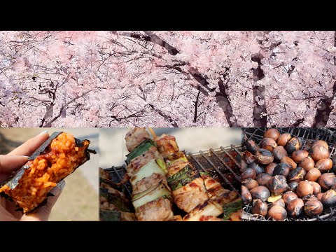 Cherry Blossom Festival & Street Food - UCIvA9ZGeoR6CH2e0DZtvxzw