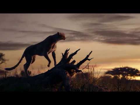 Lion King 2019 Music Video-Spirit (Beyonce)
