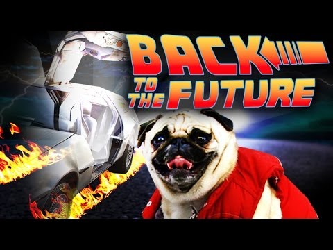 Back to the Future with Pugs - UCPIvT-zcQl2H0vabdXJGcpg