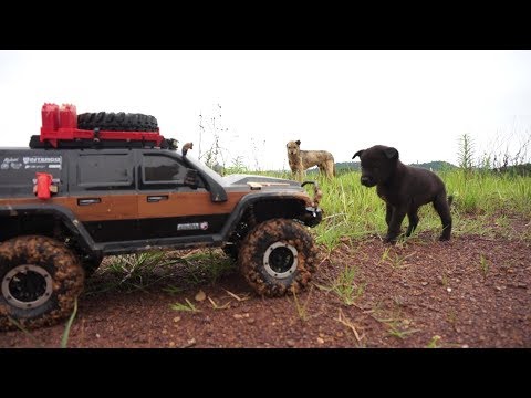 Adorable Cute Puppy Stops my RC Crawler - UCsFctXdFnbeoKpLefdEloEQ