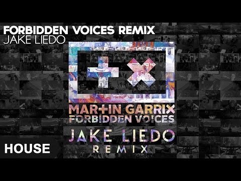 Martin Garrix - Forbidden Voices (Jake Liedo Remix)