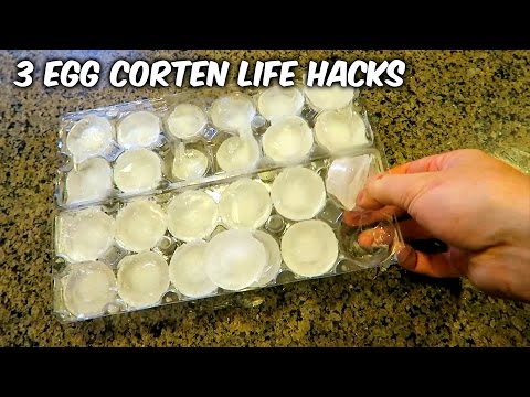 3 Egg Carton Life Hacks - UCe_vXdMrHHseZ_esYUskSBw