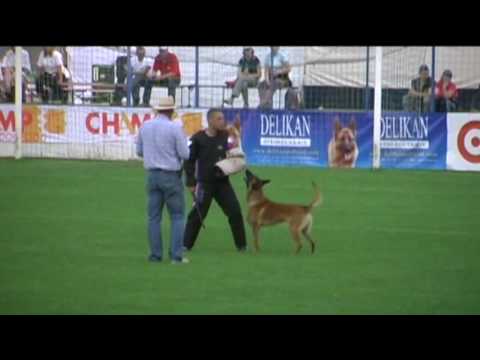 FMBB 2009 - Scherkl Edgar - C 97