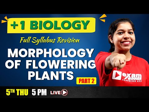 Plus one Complete Revision | Biology  | Morphology of Flowering Plants  Part 2 | Exam Winner