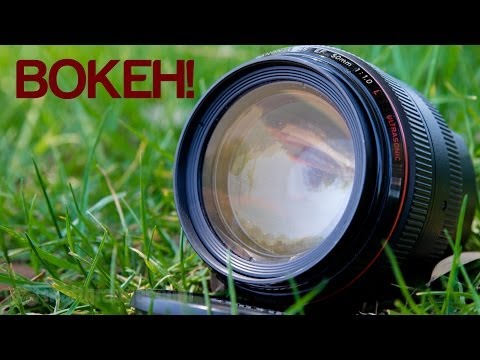 Canon 50mm f1.0 - Bokeh Porn - UCL5Hf6_JIzb3HpiJQGqs8cQ