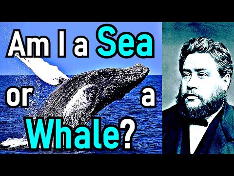 Am I a Sea, or a Whale? - Charles Haddon (C.H.) Spurgeon Sermon