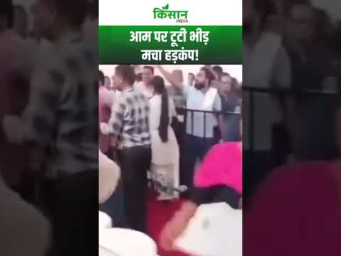Lucknow के जिस आम महोत्सव में CM Yogi गए थे, वहां भीड़ टूट पड़ी आमों पर। Viral Video।