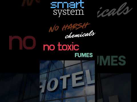 The Science Behind the Peace 🌿🧠