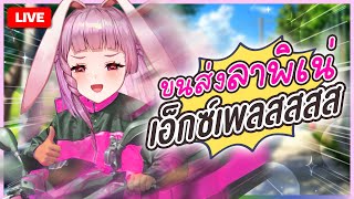 🔴LIVE | แง้นนนน ขนส่งลาพิเน่เอ็กซ์เพรสสสส | LAPINE 🌛