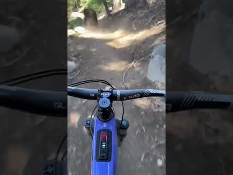 Bear Gets Rattled By Biker 🐻