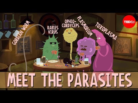 How parasites change their host's behavior - Jaap de Roode - UCsooa4yRKGN_zEE8iknghZA