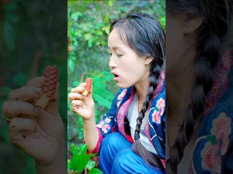 Taste the Freshness of These Expertly Chosen Fruits 🍉🍎🍓🥭 #shorts #sweets #fresh #fruitsandveggies