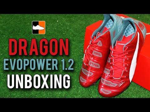 PUMA evoPOWER 1.2 Limited Edition Dragon Unboxing - UCs7sNio5rN3RvWuvKvc4Xtg