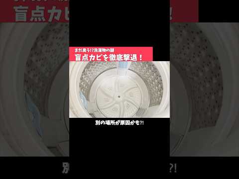 洗濯槽だけじゃない！ニオイの隠れ原因
