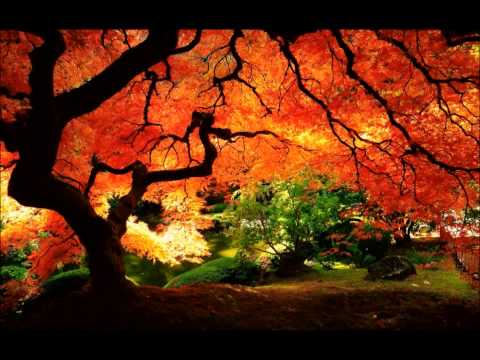 Epic day - Three Tracks - by Nick&Stan - UCM_AXh_l2oiffOS7WHf3acg