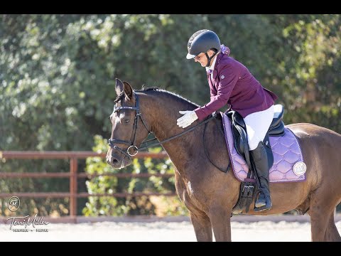 Falcao Farm Equestrian LIVE Watch DRESSAGE with me