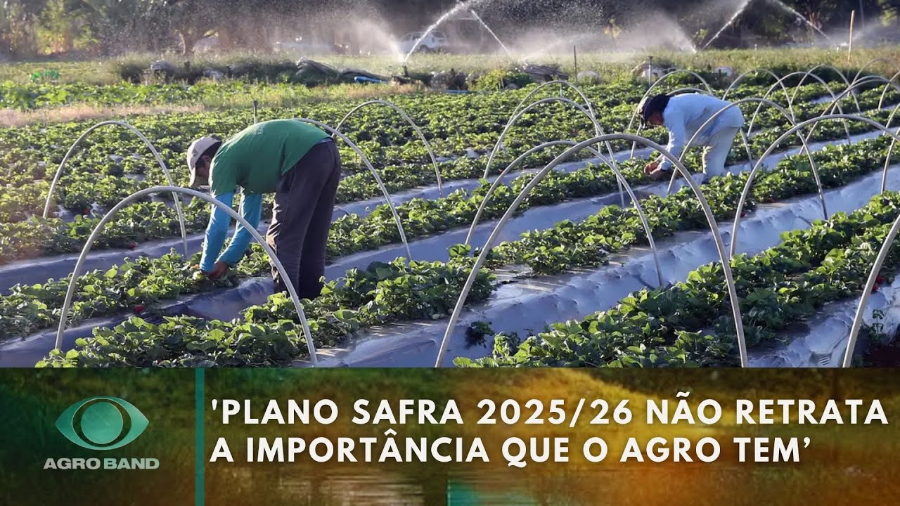 Plano Safra 202526 não retrata a importância que o agro tem para o Brasil diz diretor da CNA