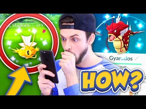 ✨HOW to get SHINY MAGIKARP (+SHINY GYRADOS)!✨ - POKEMON GO! (SUPER RARE SHINIES) - UCyeVfsThIHM_mEZq7YXIQSQ