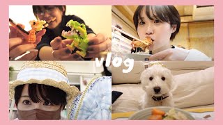 動画サムネイル