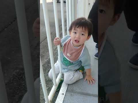 🍒I want to get over the fence and meet the bus 👶 ♥ 🚌 It was impossible 😂柵を乗り越えてバスに会いたいゆきくん👶♥🚌