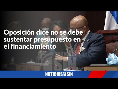 Legisladores esperan presupuesto no se sustente en préstamos.