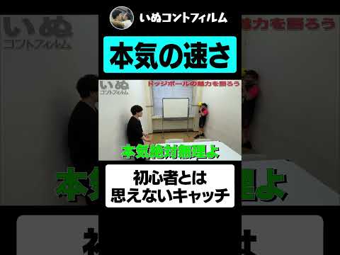 本社会議室でドッジボール投げてみた