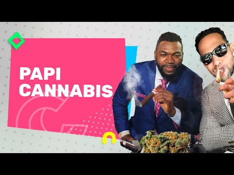 David Ortiz [Big Papi] Entra Al Negocio Del Cannabis | Casos Y Cosas