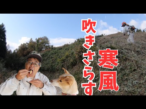 寒風吹きさらす大ギシ草刈りは汗だく！仕事終わりにハナちゃんとコーヒーと大風呂敷