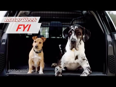 Dog-Friendly Cars | MotorWeek FYI