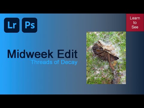Midweek Edit | Threads of Decay