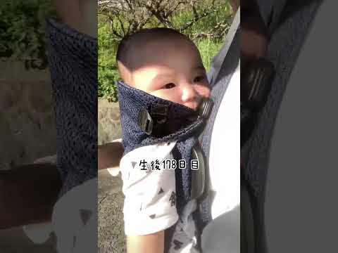 天気が良いからママンと散歩に出かけてみた赤たんでござる/#shorts #babyshorts #赤ちゃん