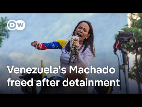 Venezuela's opposition leader freed following months of being in hiding | DW News