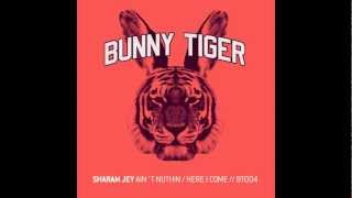 Sharam Jey - Here I Come! - Bunny Tiger004