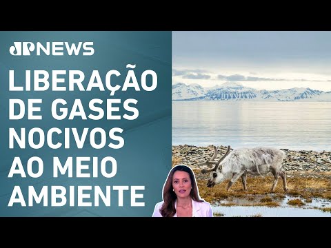 Aquecimento global transforma tundra, bioma mais frio do planeta; Patrícia Costa analisa