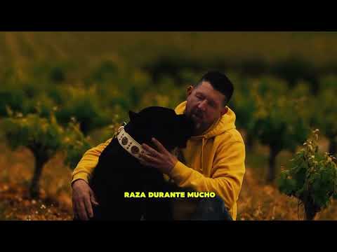 Todos querían mirar NEGRO