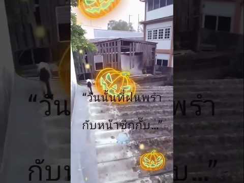#หน้าซีกกั๊บ#แมว#แมวน่ารัก#ทาสแมว#ฝนตก#คลิปแมว#Cat#CuteCat#CatLovers#Ca#Raining#CatShorts