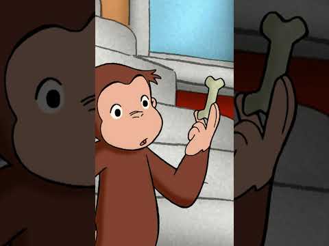 消えた恐竜の骨!? #shorts