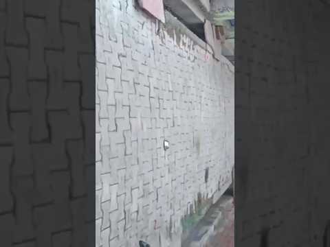 Patakhe VS Katori #diwali #youtubeshorts #crackers