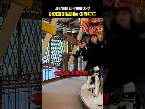 <strong>사람들이</strong> 나무판에 자꾸 하이파이브하는 이유ㄷㄷ