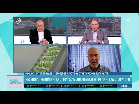 Μεσσηνία: Μειωμένη άνω του 50% αναμένεται η φετινή ελαιοπαραγωγή - Πώς επηρεάζει αγορά & καταναλωτες Μεσσηνία: Μειωμένη άνω του 50% αναμένεται η φετινή ελαιοπαραγωγή - Πώς επηρεάζει αγορά & καταναλωτες