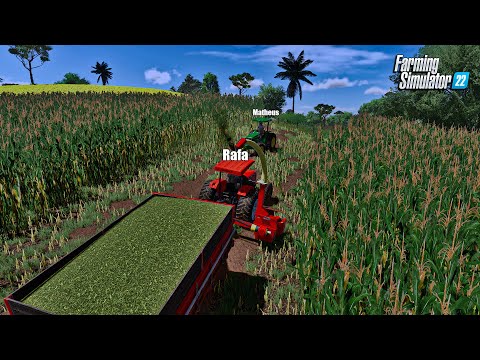 Fazenda simulada #27 | Colhendo silagem para engordar o gado | Farming simulator 22