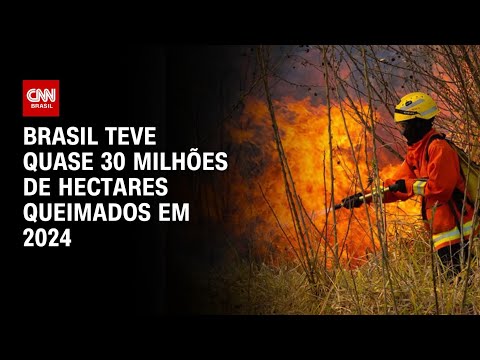 Brasil teve quase 30 milhões de hectares queimados em 2024 | CNN 360º