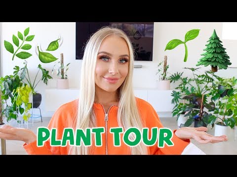 MY PLANT TOUR! ?Lauren Curtis