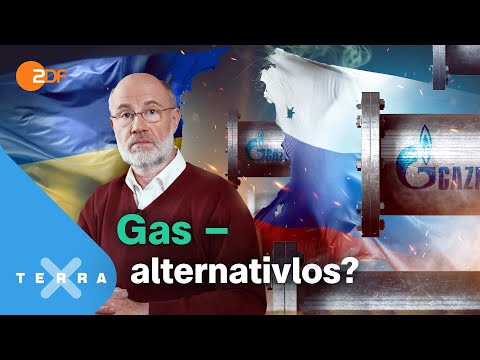 Kein Gas aus Russland? Das muss jetzt passieren! | Harald Lesch | Terra X Lesch & Co
