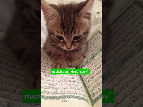 Id:mine🫰 Siz omadsizmisiz?