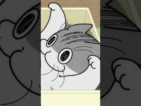 猫の動画サムネイル - ネコと箱を奪い合う