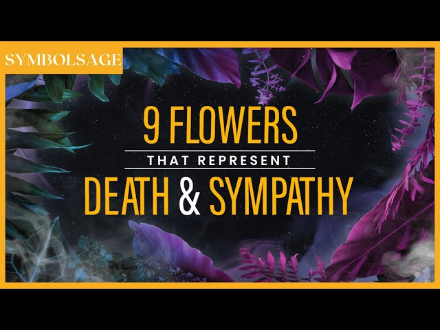 what-flower-represents-death