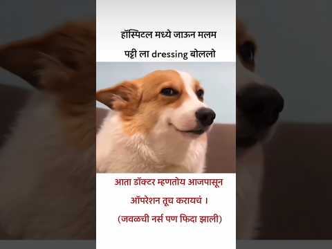 डॉक्टर म्हणतो..!!😎✔️💯 #bappa #comedy #funny #india #bappamorya #love #memes #maharashtra #jokes