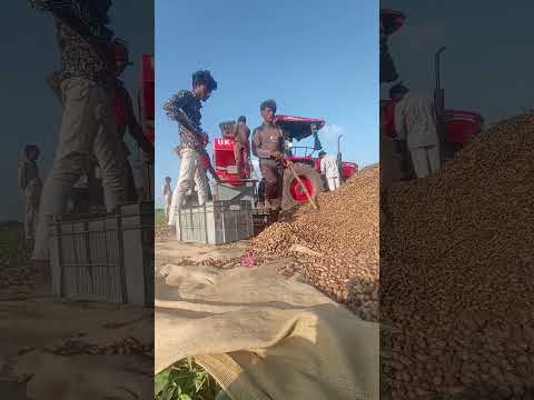 #shortvideo #viralvideo